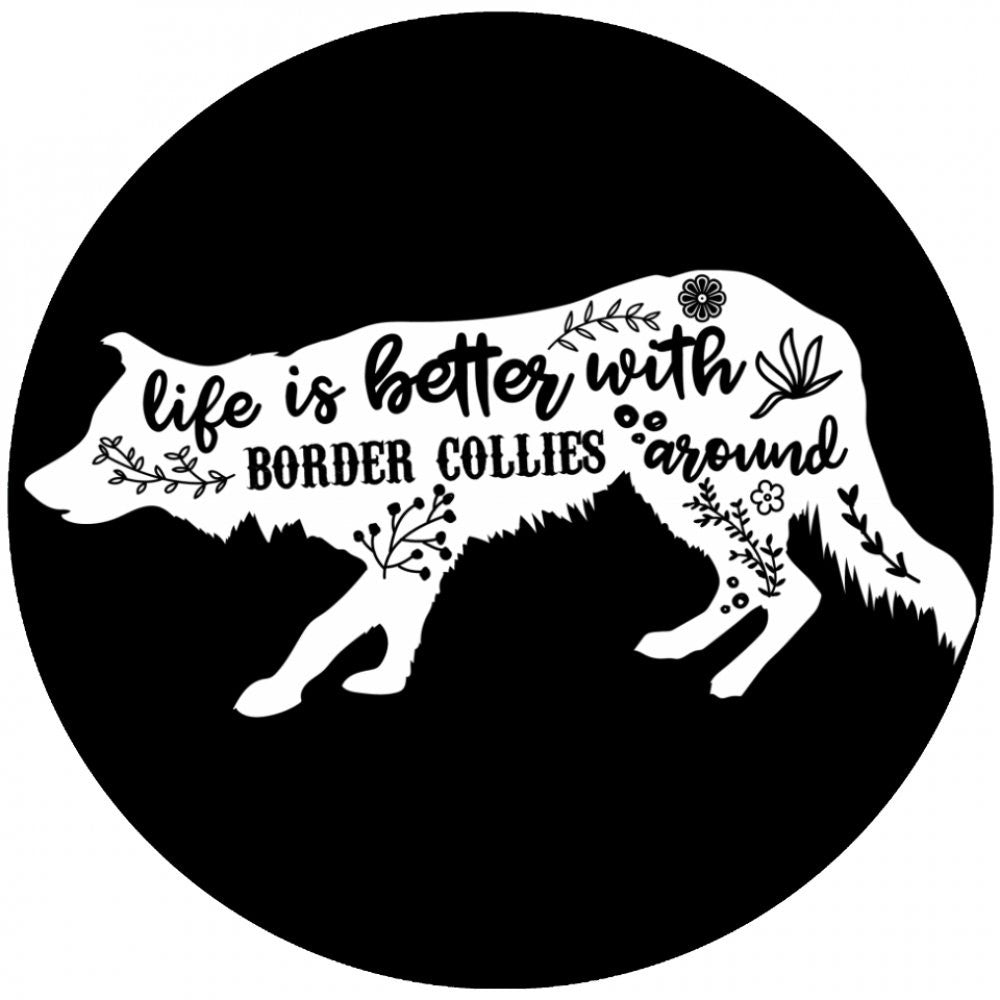 Life is better with border collies around
