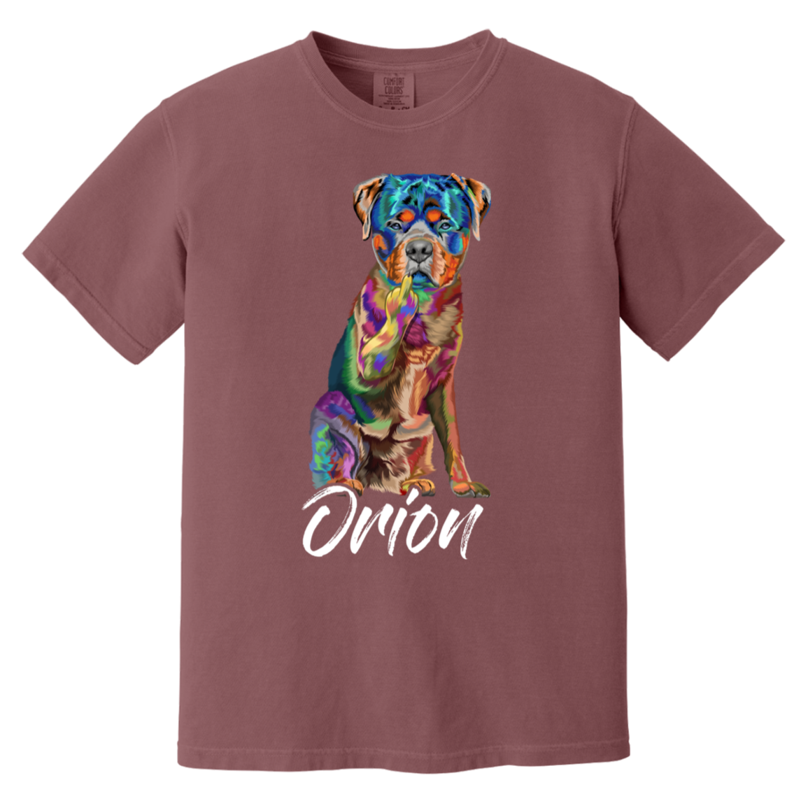 Orion The Rottie