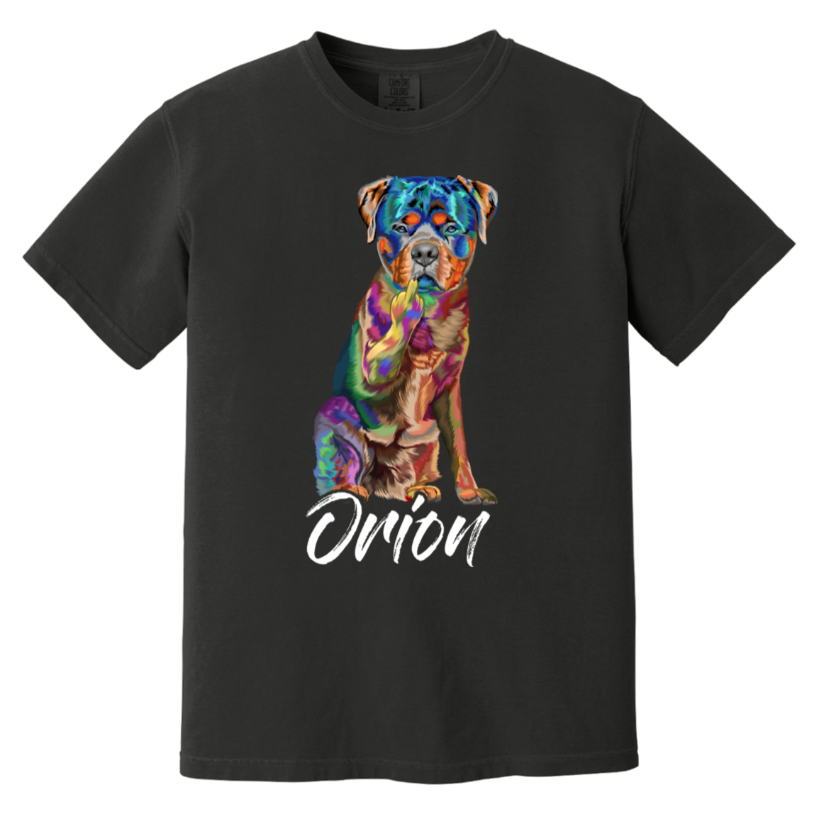 Orion The Rottie