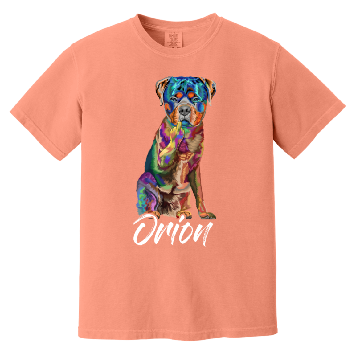 Orion The Rottie