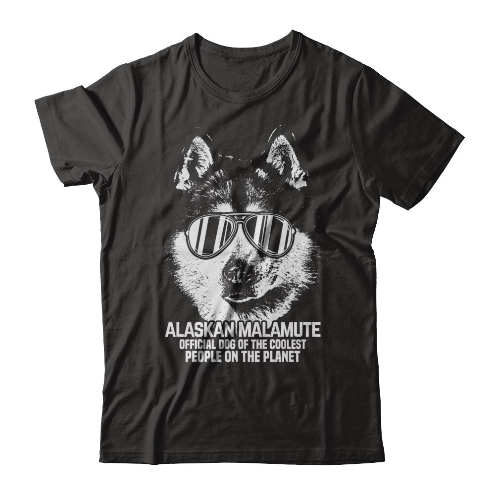 Coolest alaskan malamute