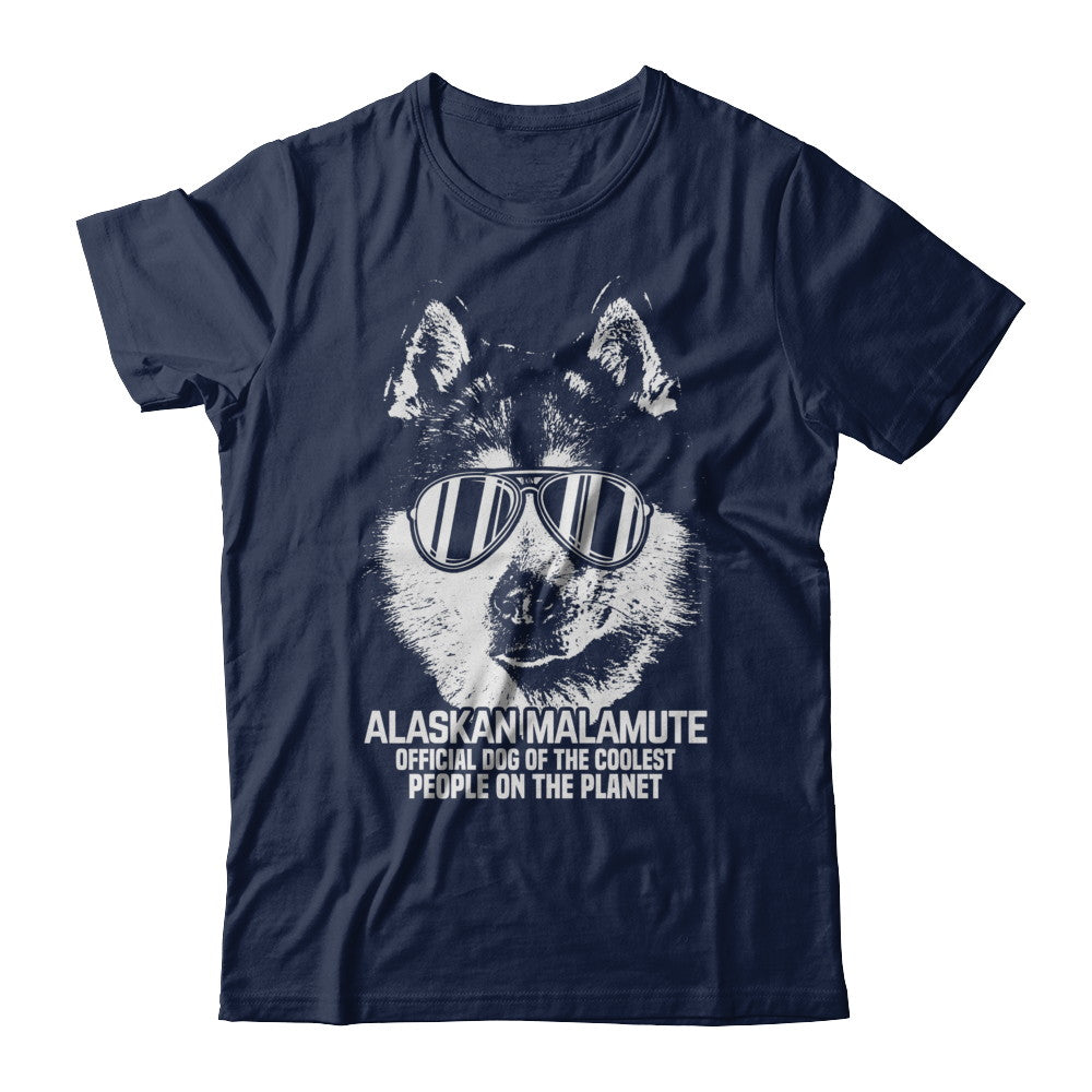 Coolest alaskan malamute