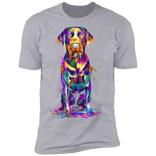 Labrador Splash