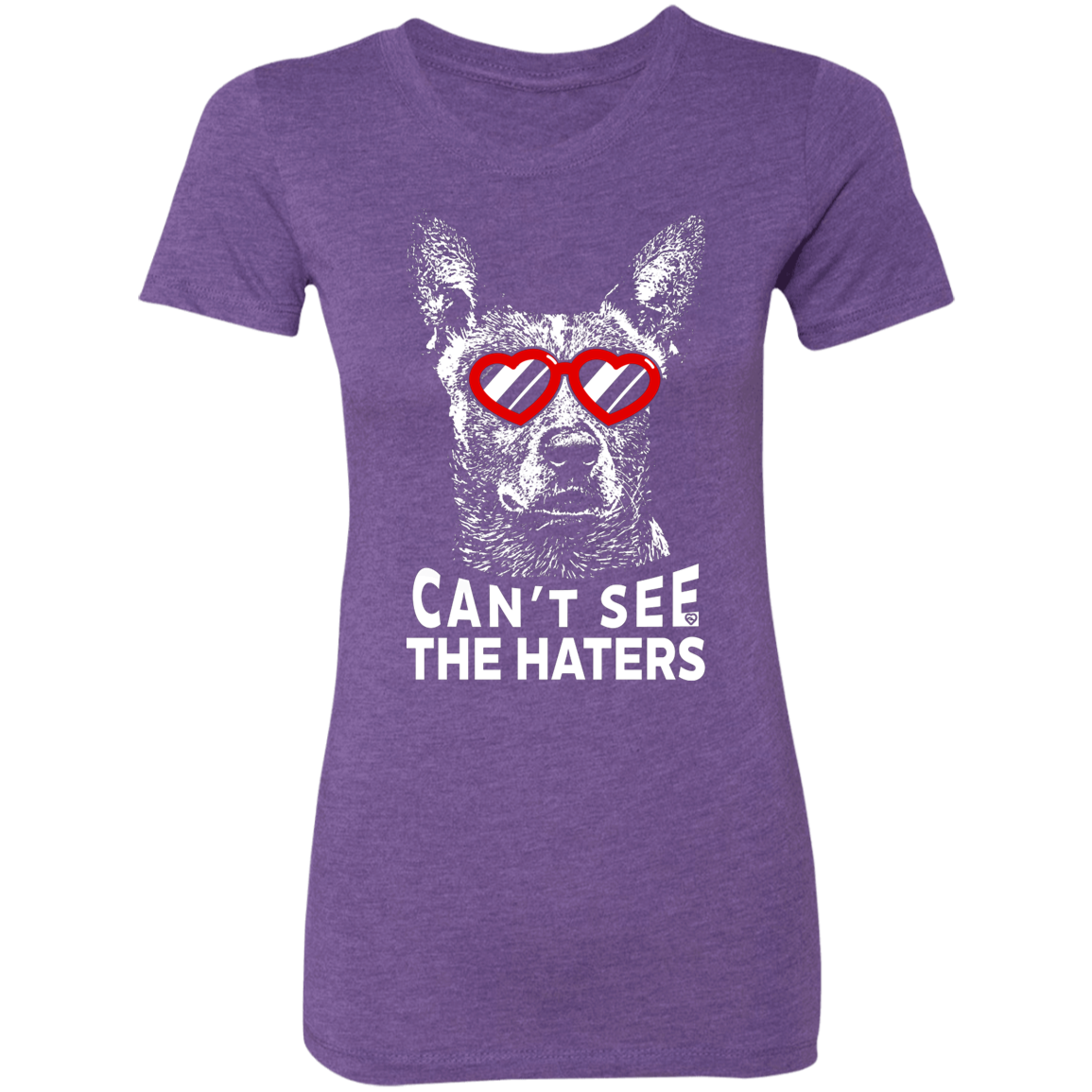 Cattle Dog Can't See The Haters T-Shirt