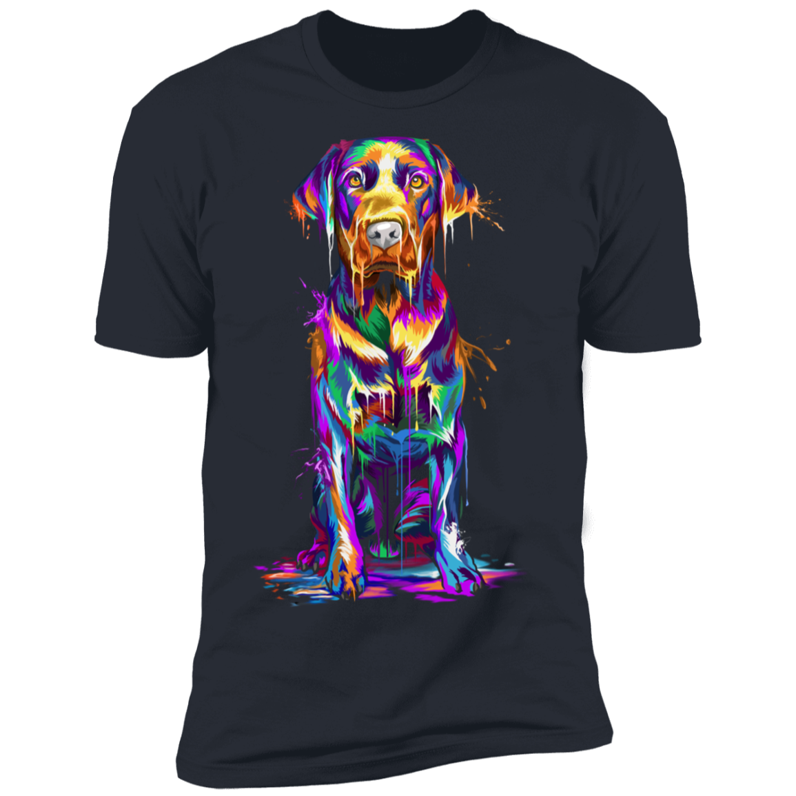 Labrador Splash