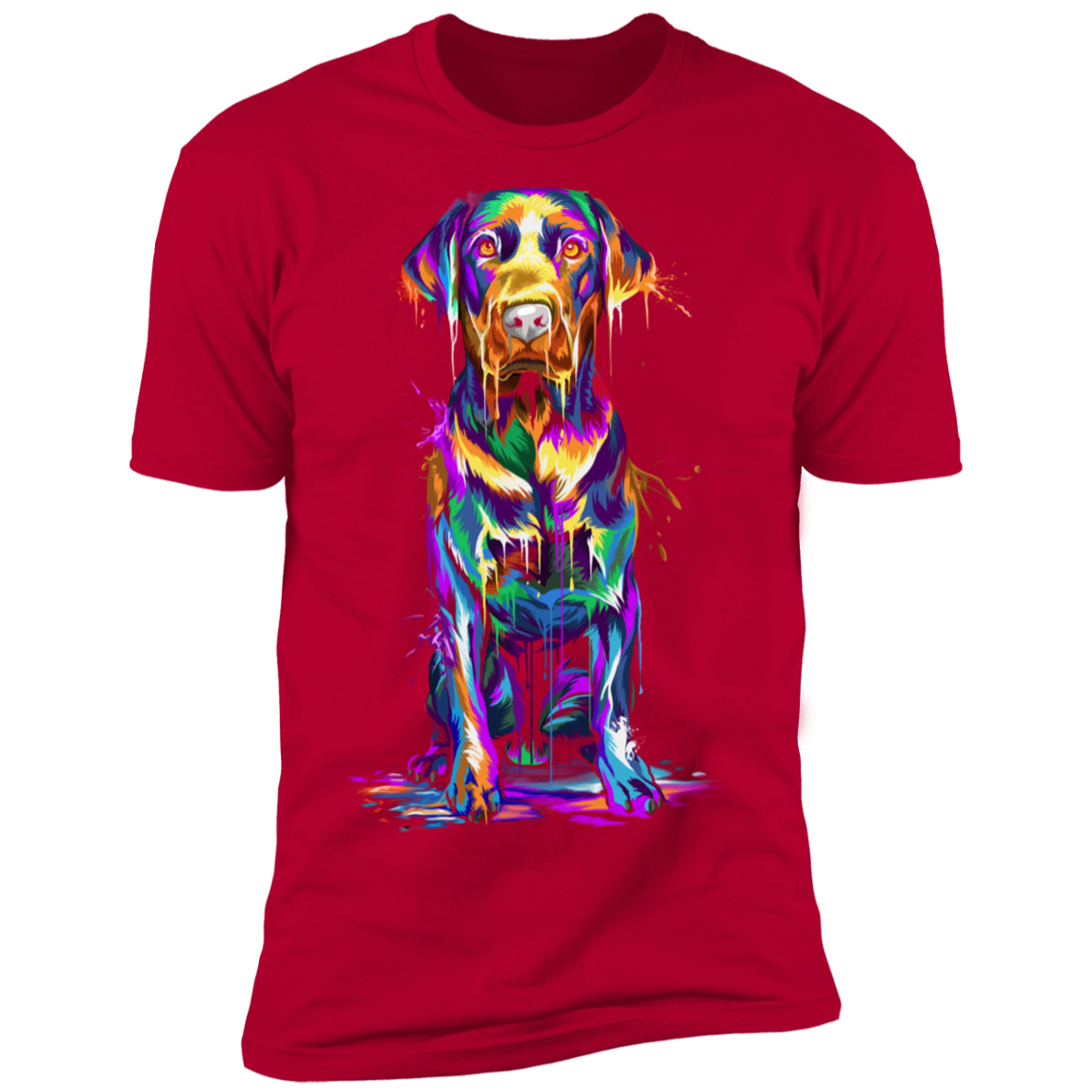 Labrador Splash