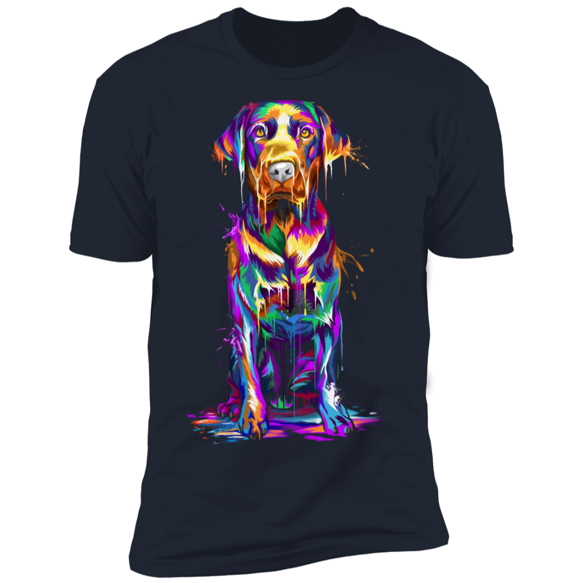 Labrador Splash
