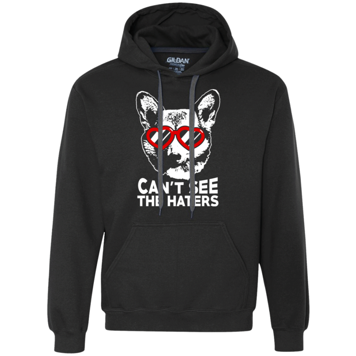 Corgi can't see the haters Hoodie