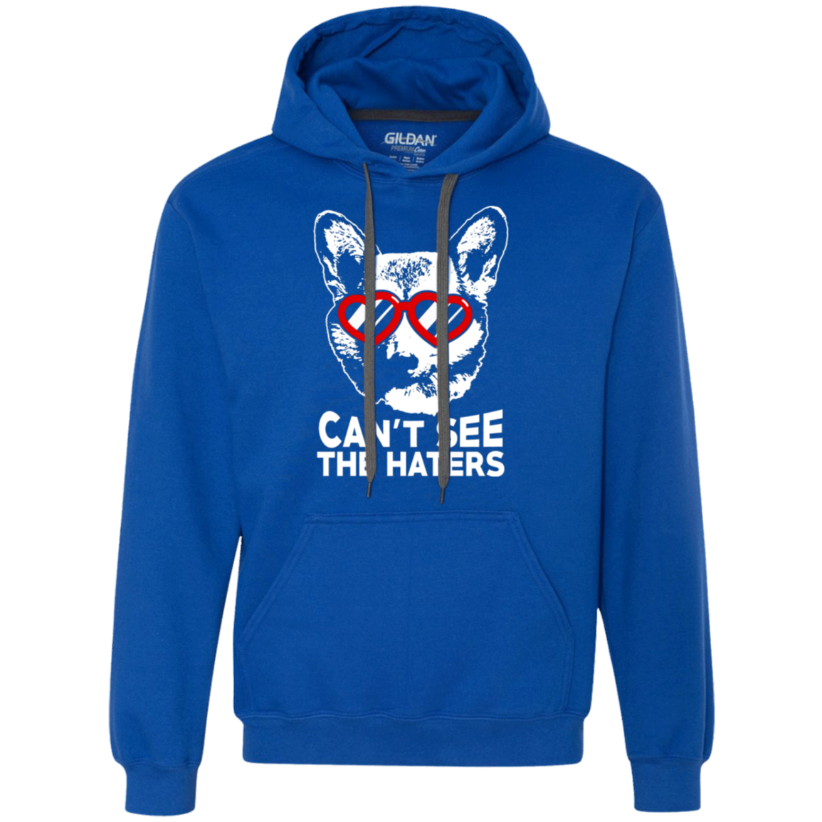 Corgi can't see the haters Hoodie