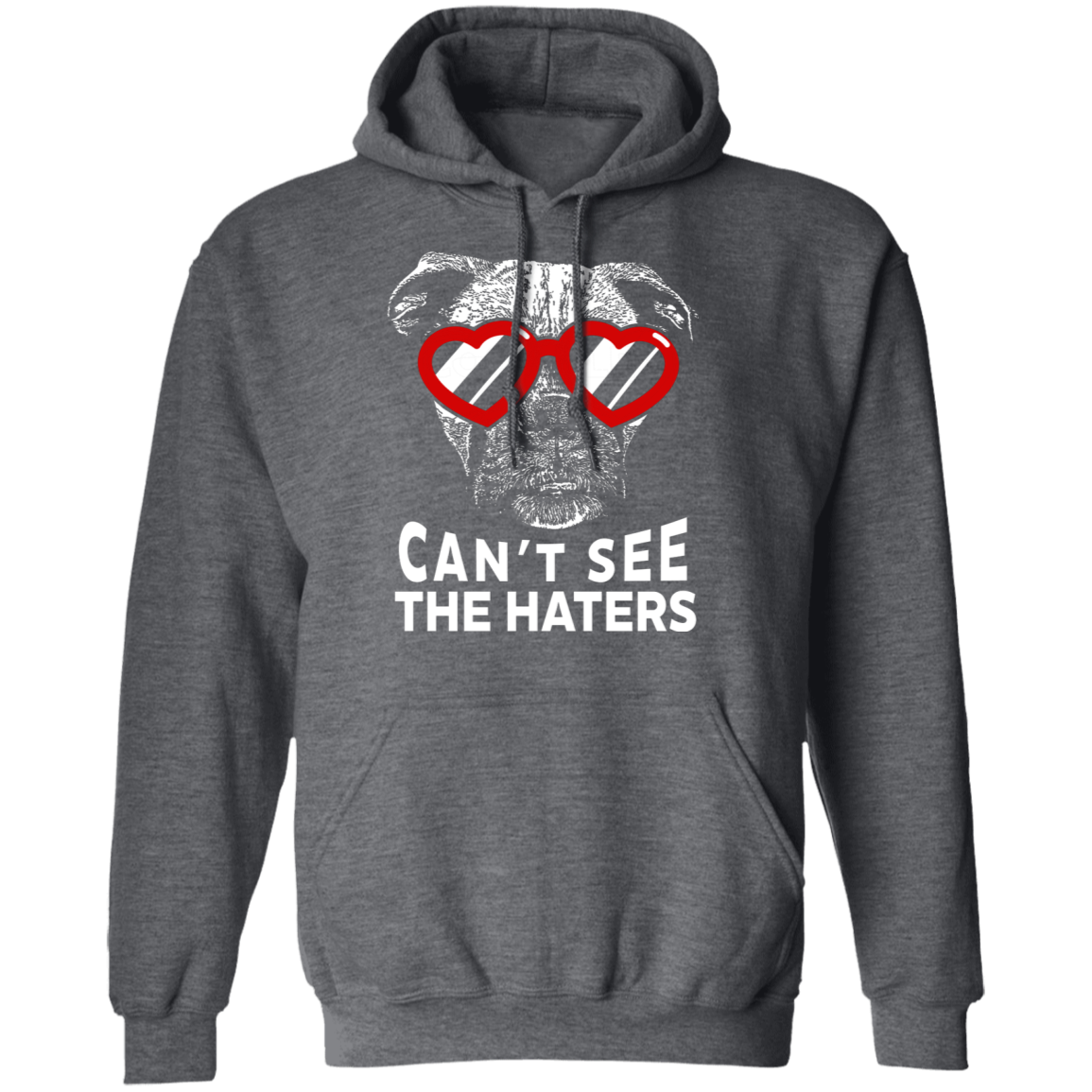 Can't See The Haters Boxer Edition Pullover Hoodie