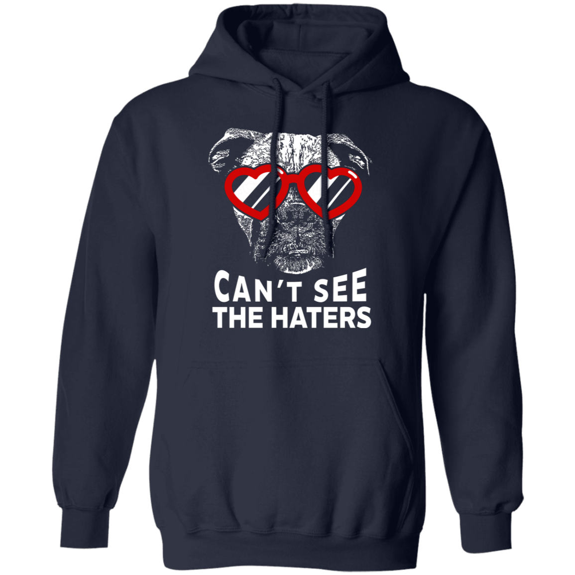 Can't See The Haters Boxer Edition Pullover Hoodie