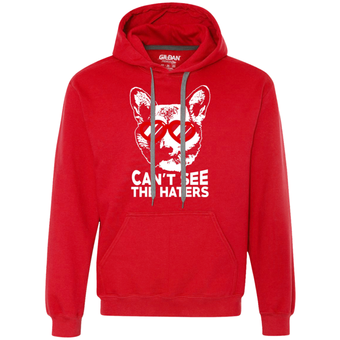 Corgi can't see the haters Hoodie