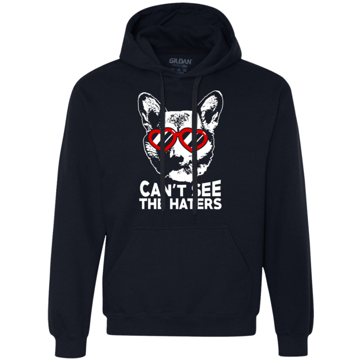 Corgi can't see the haters Hoodie