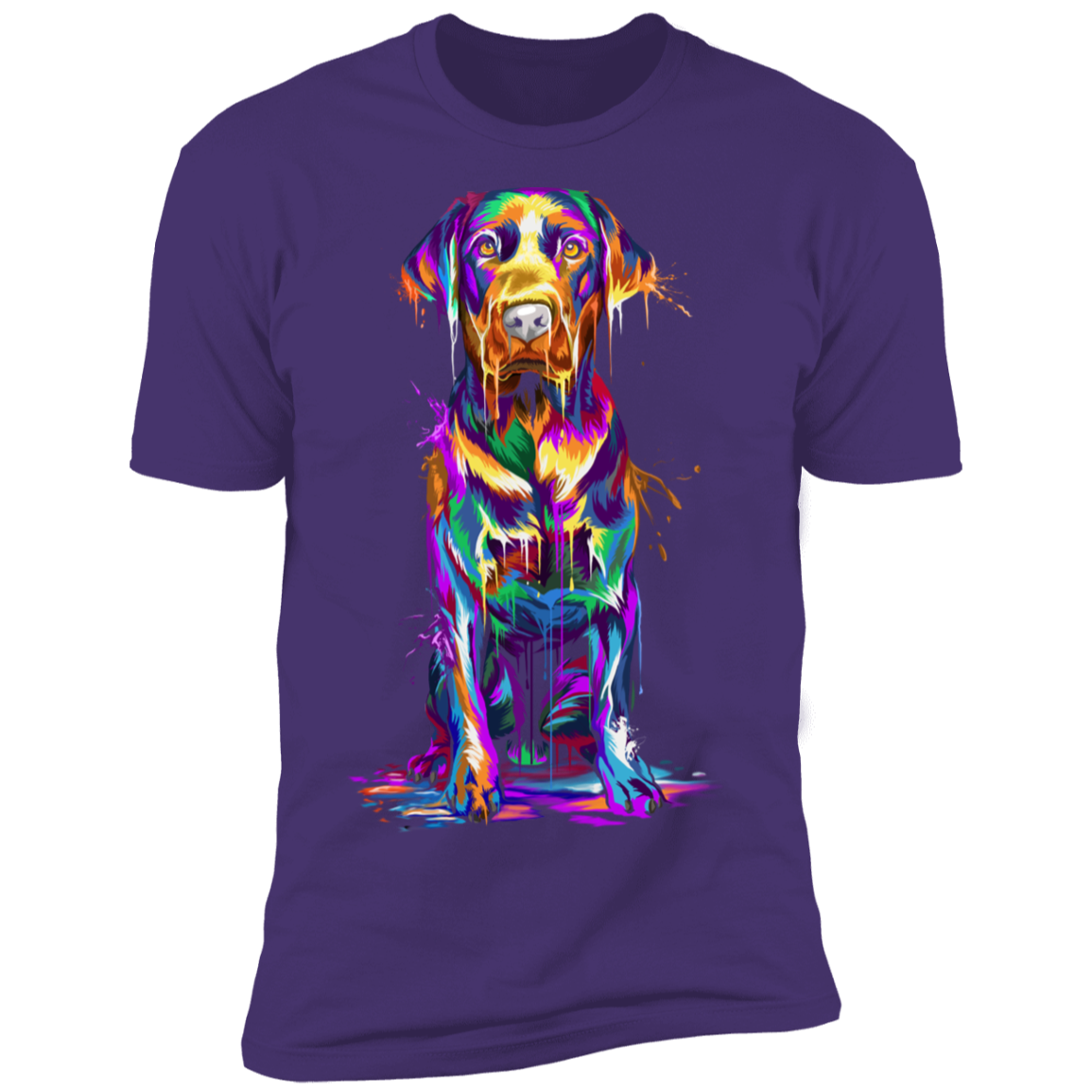 Labrador Splash