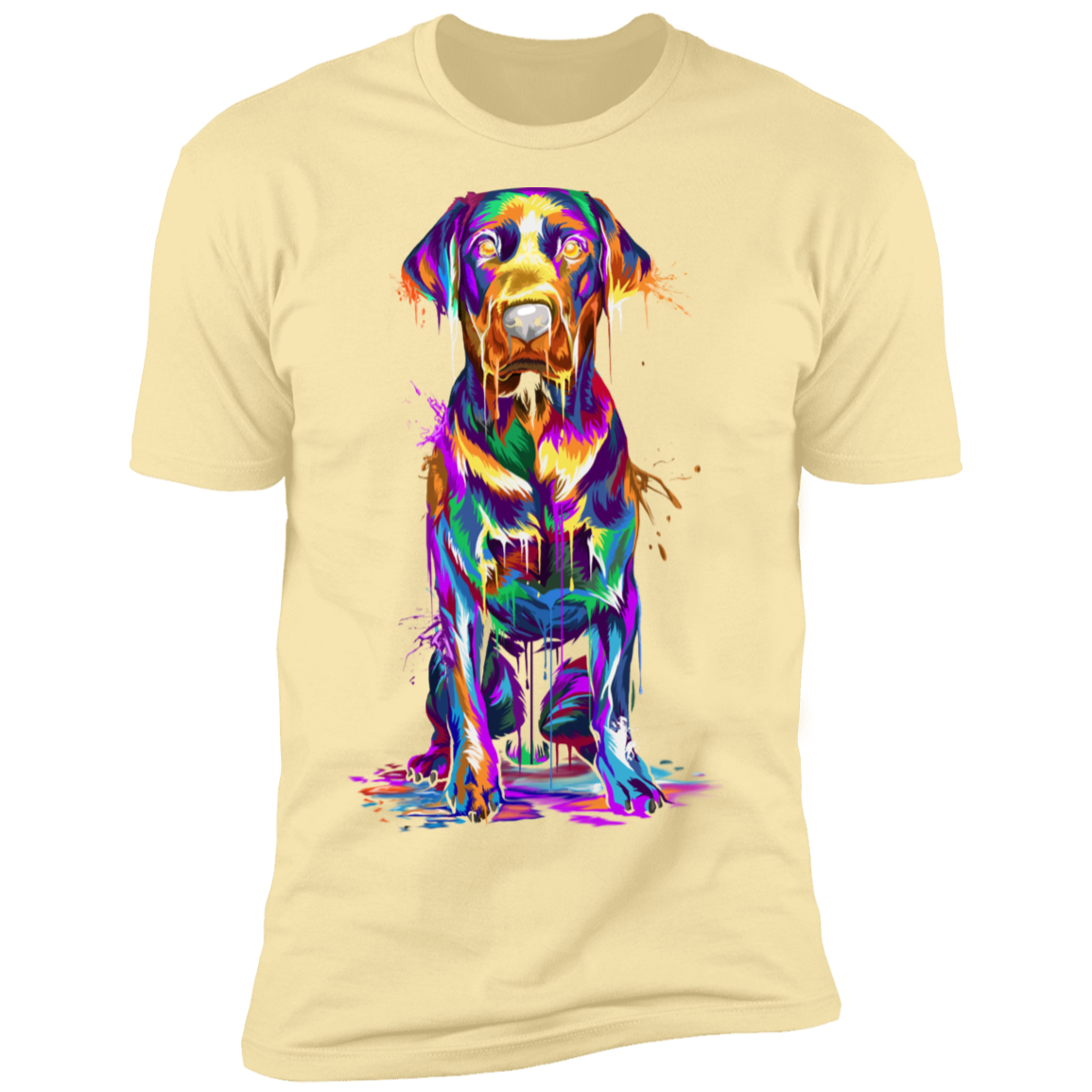Labrador Splash