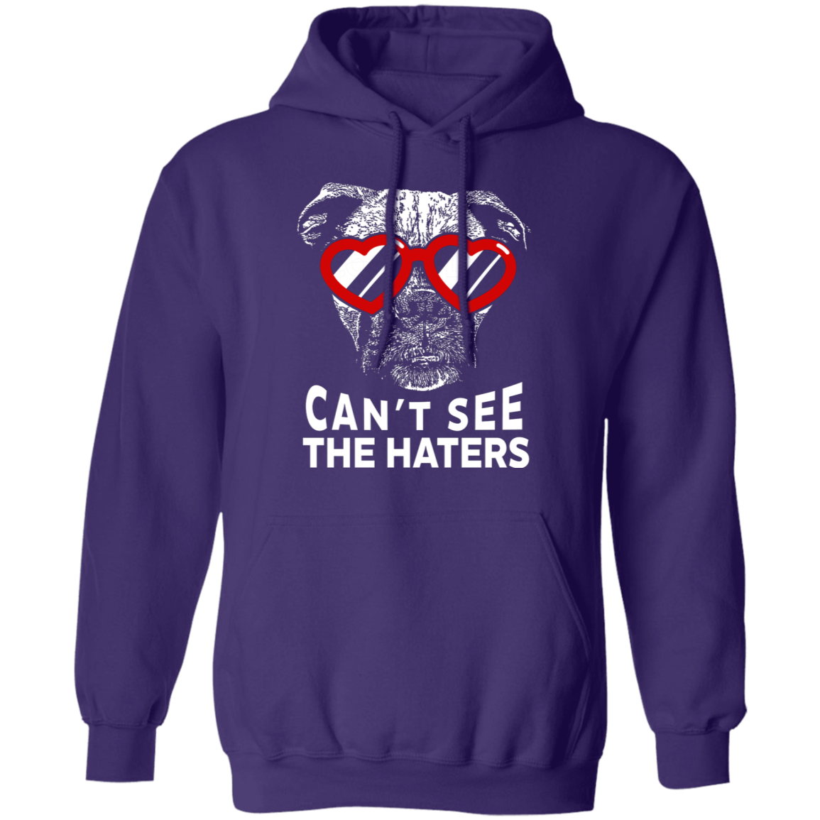 Can't See The Haters Boxer Edition Pullover Hoodie