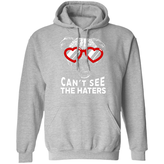 Can't See The Haters Boxer Edition Pullover Hoodie