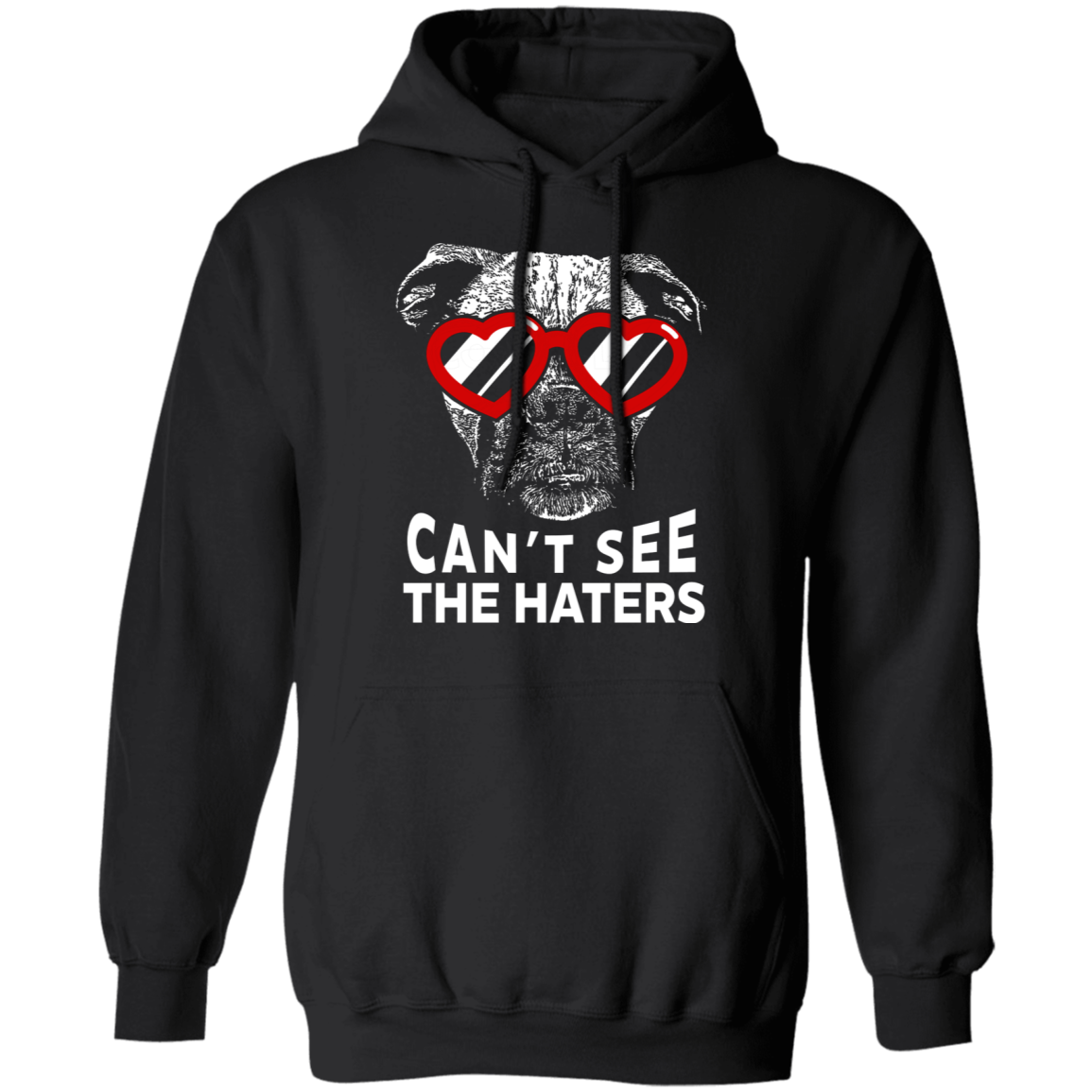 Can't See The Haters Boxer Edition Pullover Hoodie