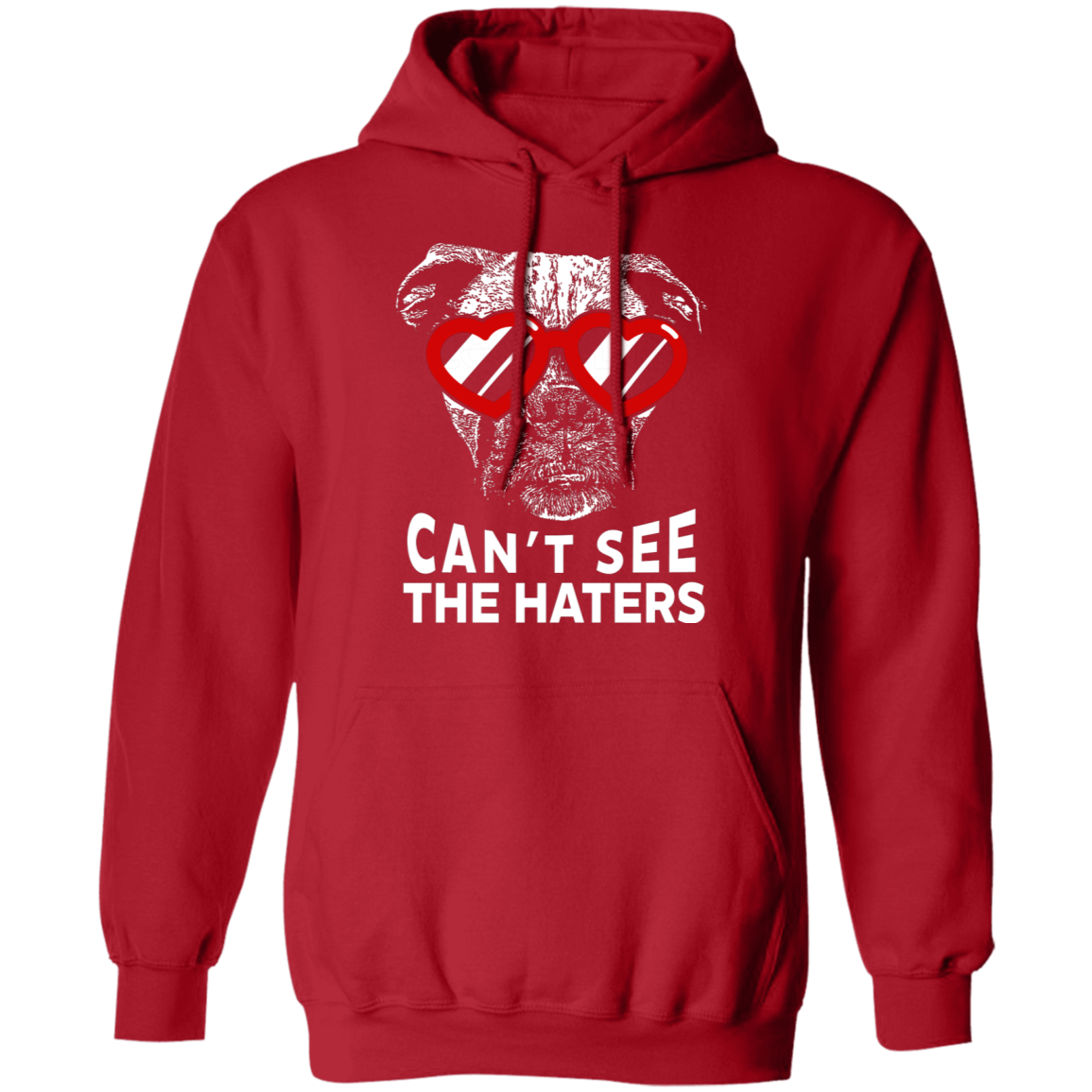 Can't See The Haters Boxer Edition Pullover Hoodie