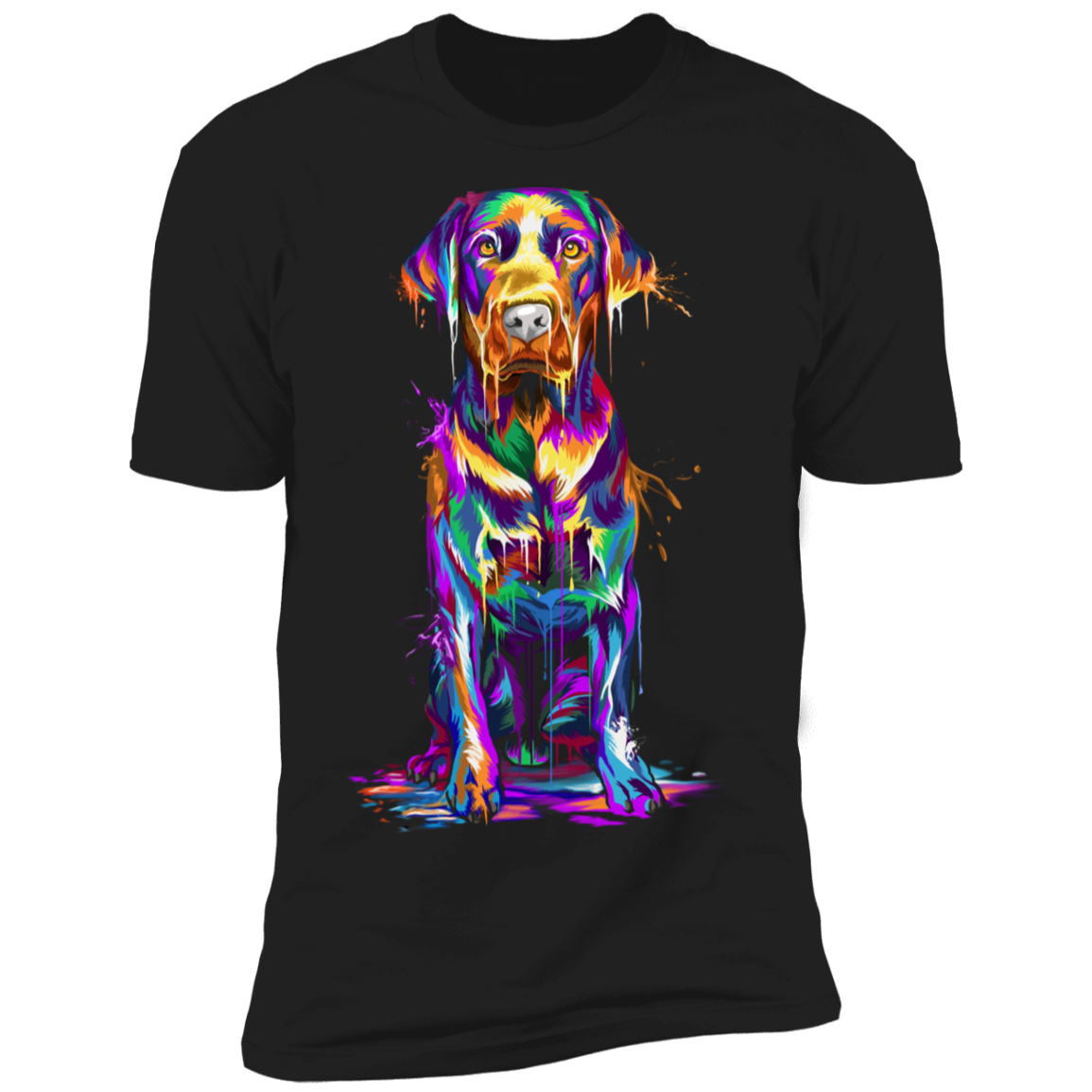Labrador Splash