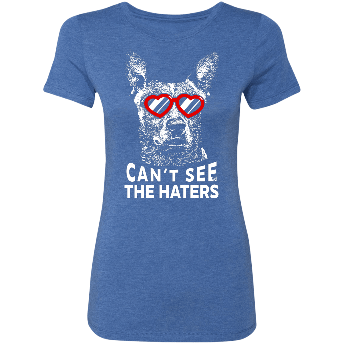 Cattle Dog Can't See The Haters T-Shirt